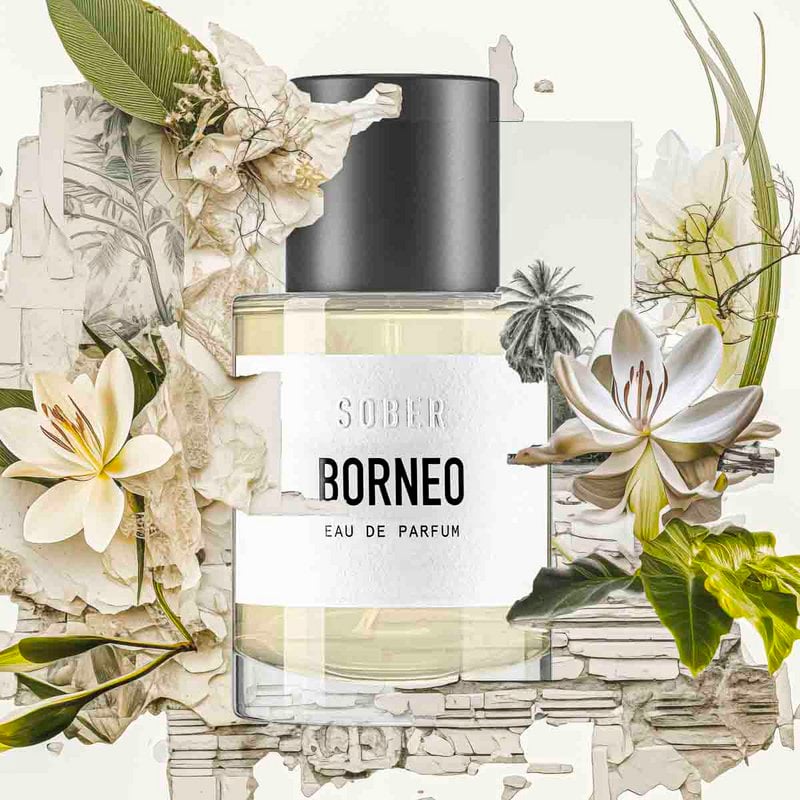 SOBER Borneo Eau de Parfum – 50 ml – image 2